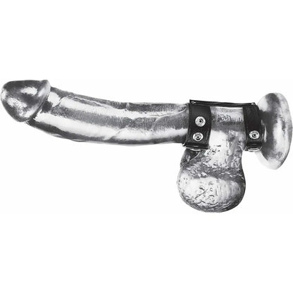 Anneau d'erection et testicules en duo avec Snap Duo Snap Cock & Ball Ring Sensations Plus Sensations plus