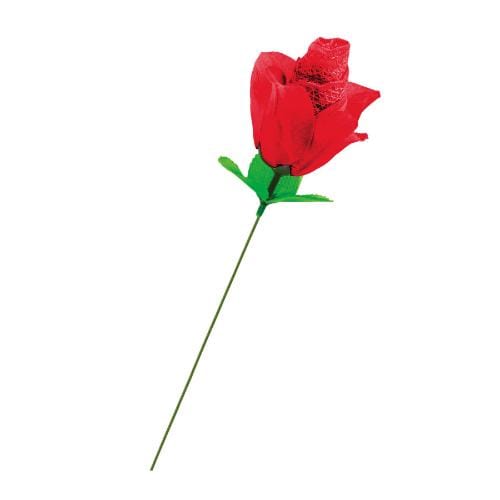 Culotte Sexy en Dentelle - Présentée dans une Rose Rouge | Cadeau Original & Sensuel Fun Novelties Sensations plus