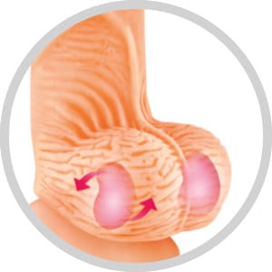 Dildo Réaliste, Ventouse & Prépuce - Real Brad 20 cm | Real Body Real Body Sensations plus