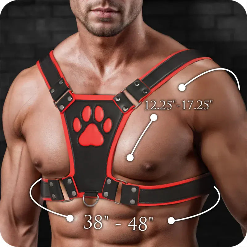 Harnais Puppy Play - Alpha Pup Bulldog Harness | Ajustable en Cuir Vegan Durable & Stylé Master Series Sensations plus