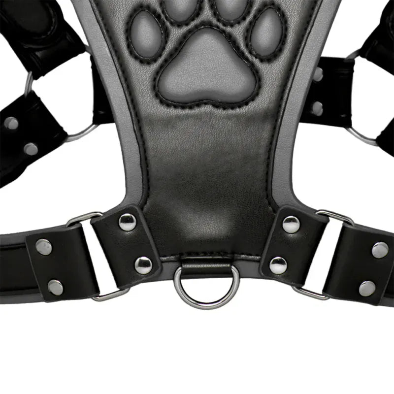 Harnais Puppy Play - Alpha Pup Bulldog Harness | Ajustable en Cuir Vegan Durable & Stylé Master Series Sensations plus