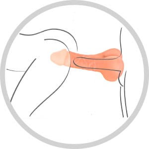 Masturbateur 2 en 1 - Real Body Two in One | Gaine Réaliste à Pénis & Prolonge Jusqu’à 5 cm Real Body Sensations plus
