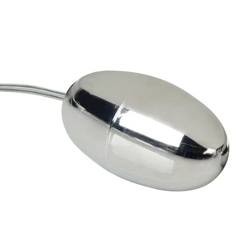 Oeuf Argenté Eco Pack - Pocket Exotics | CalExotics Calexotics Sensations plus