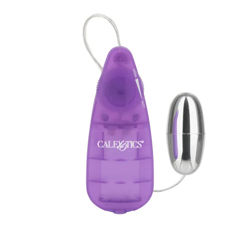 Oeuf Argenté Eco Pack - Pocket Exotics | CalExotics Calexotics Sensations plus