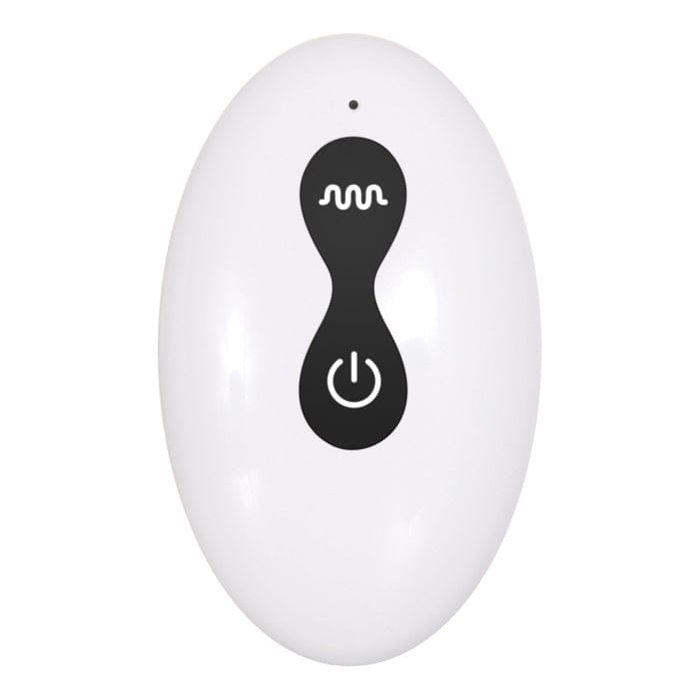 Plug Anal a Distance - Secwell - Twist 360° Anal Plug Training Secwell Sensations plus