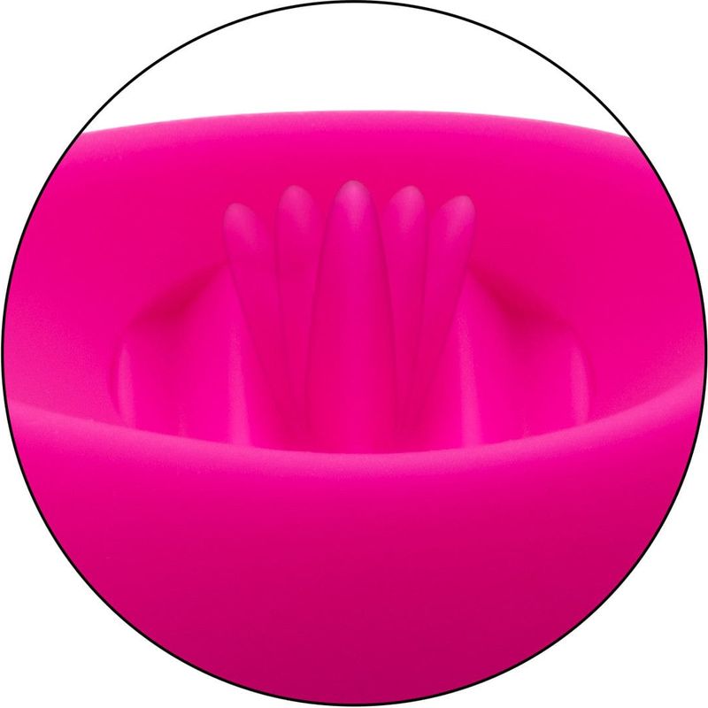 Vibrateur à Distance - Calexotics - Flicker Panty Teaser CalExotics Sensations plus