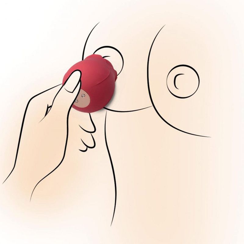 Vibrateur à Succion - Happy Meeting - Rose Clitoral Suction Sensations Plus Sensations plus