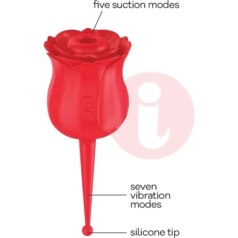 Vibrateur à Succion - Wild Rose - Le Point Icon brands Sensations plus
