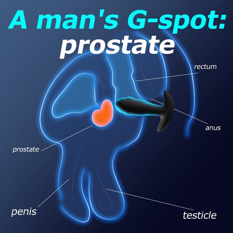 Vibrateur Anal Avec Télécommande - Secwell - Reggie Tapping Anal Plug Secwell Sensations plus