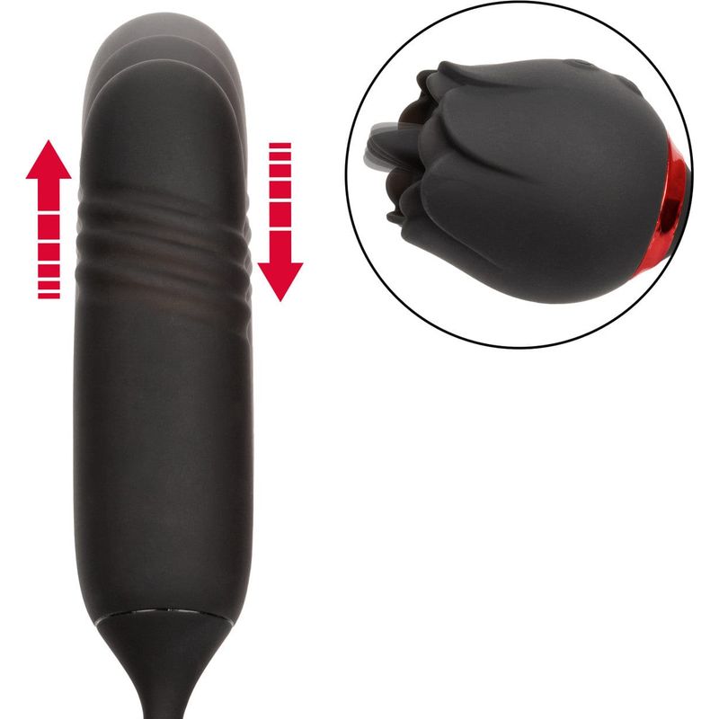 Vibrateur - Calexotics - French Kiss Elite Romeo CalExotics Sensations plus