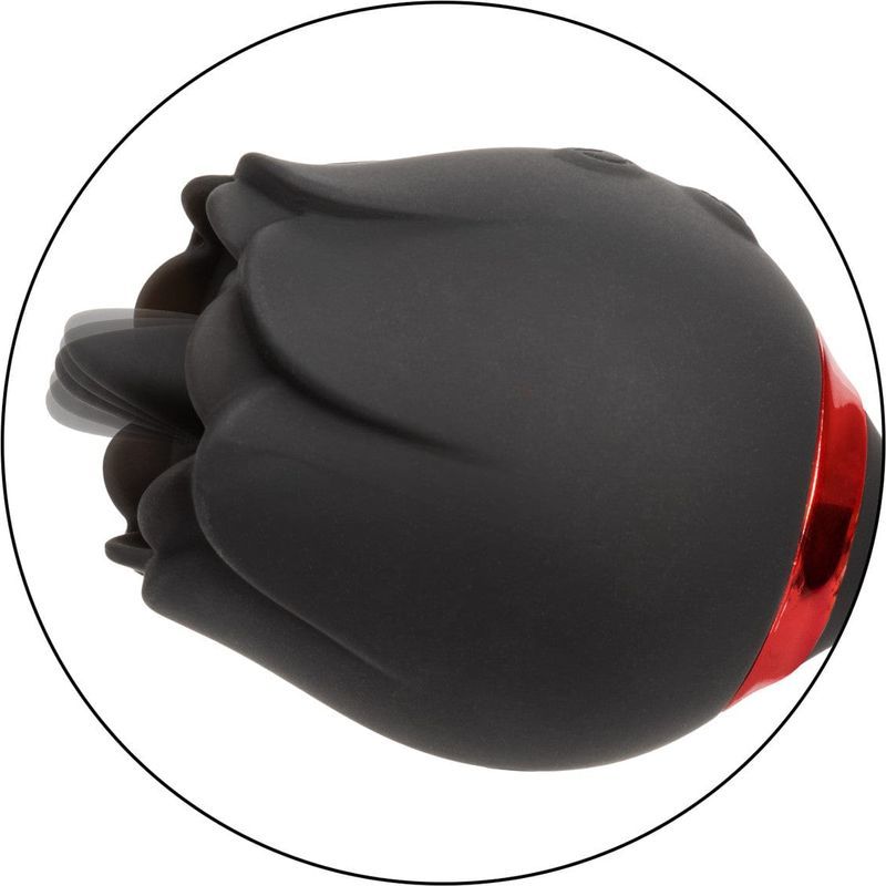 Vibrateur - Calexotics - French Kiss Elite Romeo CalExotics Sensations plus