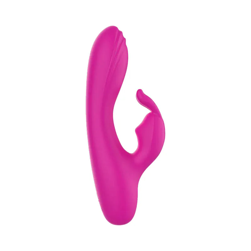 Vibrateur Double Stimulation - Mini Rabbit | 10 Modes de Vibration Puissant, Clitoris & Point G Secwell Sensations plus
