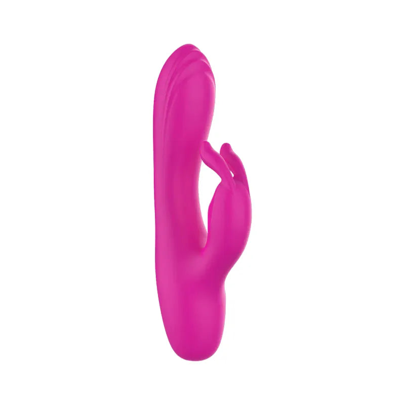 Vibrateur Double Stimulation - Mini Rabbit | 10 Modes de Vibration Puissant, Clitoris & Point G Secwell Sensations plus