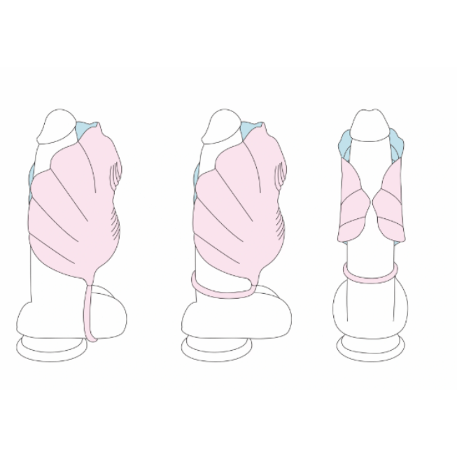 Vibrateur Polyvalent à Distance - La Vague du Plaisir | Stimulation & Plaisir Mains Libres WInYI Sensations plus