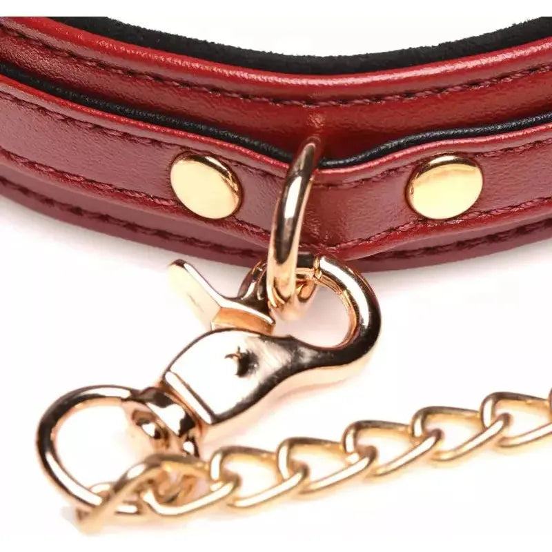 Ensemble Bondage - Master Series - 6 Piece Burgundy Bondage Set Master Series Sensations plus