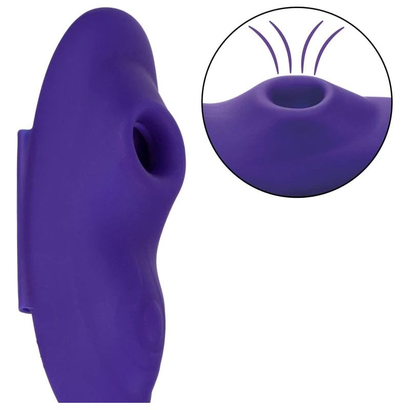 Vibrateur à Distance - CalExotics - Remote Suction Panty Teaser CalExotics Sensations plus